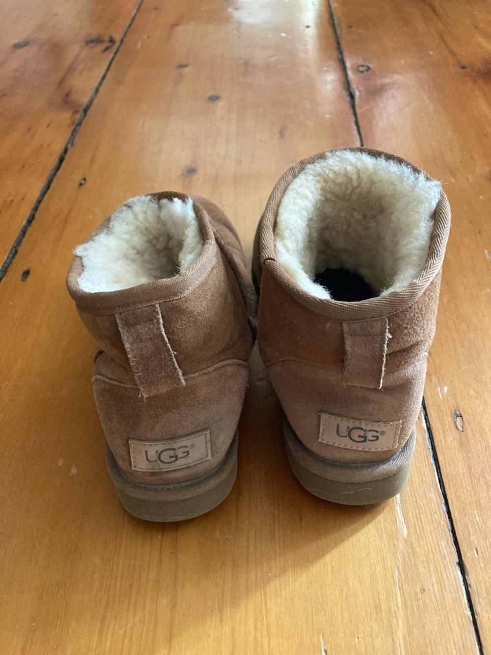 UGG Chestnut Mini Shearling Boots